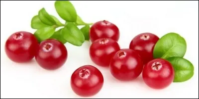 Comment appelle-t-on le fruit de l'airelle ?