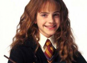 Quiz Hermione Granger et Harry Potter