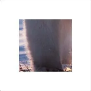 A qui appartient cette patte ?