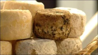 A partir de quel lait est fabriqu le clbre crottin de Chavignol ?