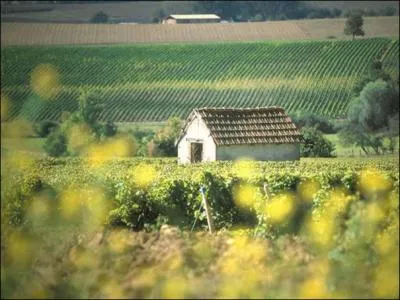Avec quels mets est-il conseill de servir un menetou-salon rouge ?