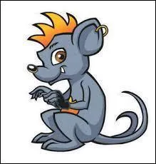 Comment s'appelle son rat  deux queues ?