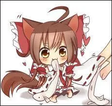 Lequel de ces animaux ne fait pas partie des flins ?