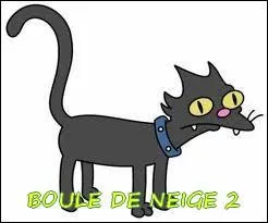 Comment s'appelle ce chat, dans les Simpson ? (C'est crit)