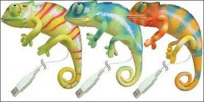 Quel type cellules, permet au camlon de changer de couleur ?