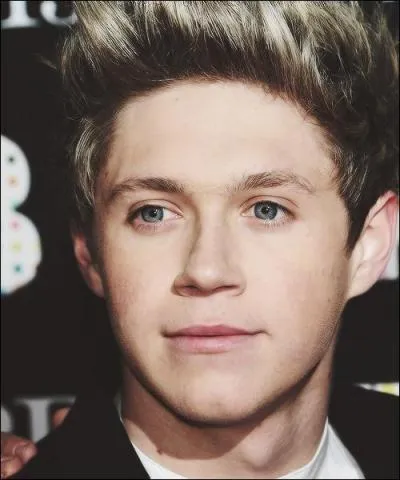 Le nom de famille de Niall est :