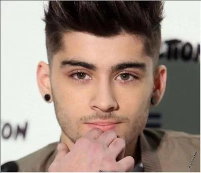 Zayn est n le :