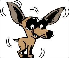 En Oklahoma, toute personne peut tre condamne  une amende, voire  la prison, pour avoir ...  un chien.