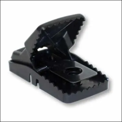 En Californie il est illgal de monter un pige  ... sans permis de chasse.