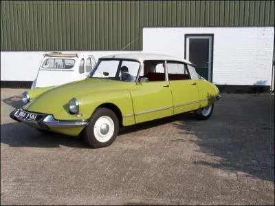 Quel est ce vert, d'une plante bue en infusion dont l'arbre rpand une odeur magique ?