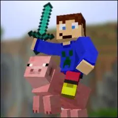 Qui est cette personne ? Indice : il fait partie des Patricks