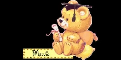 Que signifie le prénom Melvin, d'origine celtqiue ?