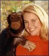 Vous souvenez-vous de la fille du Daktari, ici avec la charmante guenon Judy ? Quel tait son prnom ?