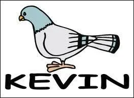 Qui est Kvin ?