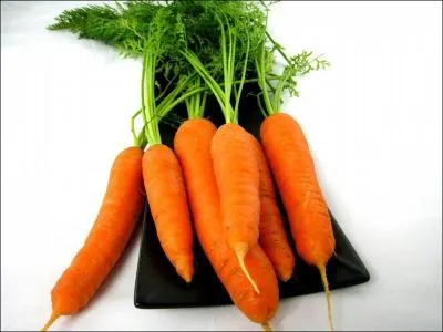 Qui aime les carottes ?