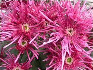 Il porte le nom de  la capitale de l'est . Lequel ?