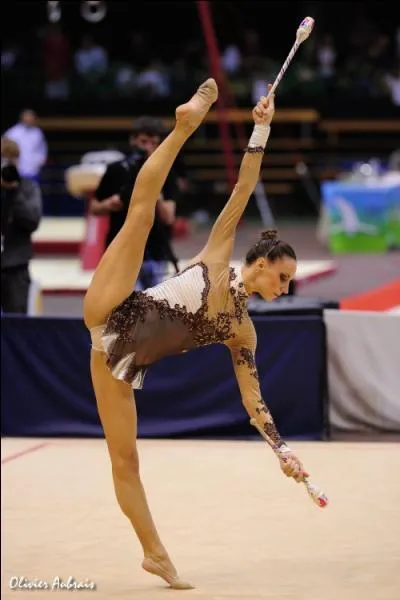 Quel(s) est(sont) son(ses) point(s) fort(s) ?