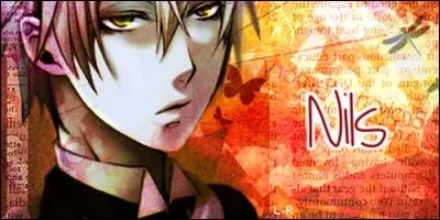 D'où provient le prénom Nils ?