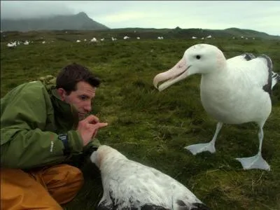 Que vous voque  3, 63 m  ? C'est l'envergure du plus grand oiseau. D'aprs la photo, comment s'appelle cet oiseau ?