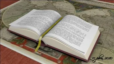 Qui est l'auteur de ce livre :  des bleus  l'me  ?