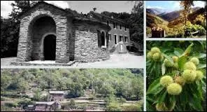 Voici diffrentes vues de la commune languedocienne de Saint-Andol-de-Clerguemort. Elle se situe dans le dpartement ...