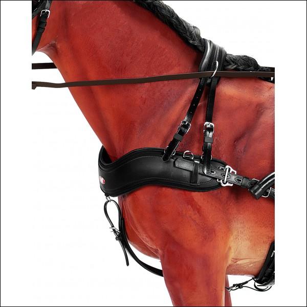 Ceci est une large courroie, originellement en cuir, qui permet la traction de charges légères. L'utilisation de cet objet nécessite un palonnier sur l'élément tracté, pour empêcher que celle-ci frotte et blesse le thorax du cheval. Comment cela s'appelle-il ?