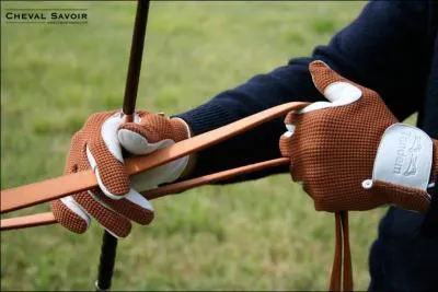 Et voici enfin le seul lien direct entre le cheval et son meneur. Ils sont relis aux branches du mors et permettent de donner la direction que doit prendre le cheval. Ce sont...