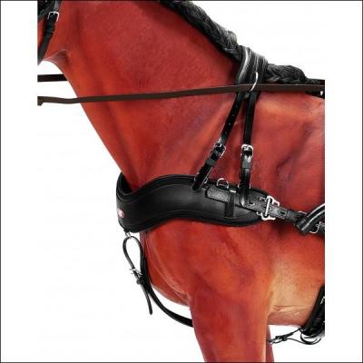 Ceci est une large courroie, originellement en cuir, qui permet la traction de charges lgres. L'utilisation de cet objet ncessite un palonnier sur l'lment tract, pour empcher que celle-ci frotte et blesse le thorax du cheval. Comment cela s'appelle-il ?