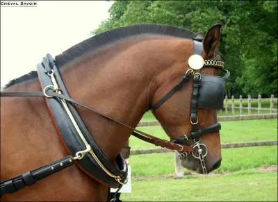 Cette pice du harnais est un collier qui s'appuie sur les paules pour tirer une charge lourde. C'est...