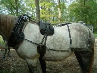 Ceci est l'quipement qui permet de lier le cheval au dispositif  tracter. Cet harnachement peut tre conu  l'aide de cordes, mais ils sont gnralement composs de pices de cuir. C'est...