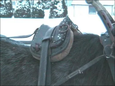 Elle permet de maintenir l'avaloire en toutes circonstances par le biais de sa liaison avec la croupire. Elle est maintenue sur le dos du cheval par la sous-ventrire. Dans le cas d'un attelage en brancard, cet objet permet de maintenir en bonne position les brancards par le biais des bracelets. Elle est aussi appele  mantelet  dans un attelage  deux. C'est...