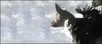 The last guardian - Comment s'appelle la crature imaginaire qui se trouve dans le jeu ?