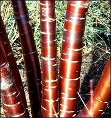 Mditez bien sur celui-ci...