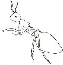  quel film vous fait penser cette image ?