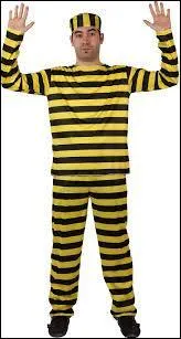  quel film vous fait penser cette image ?