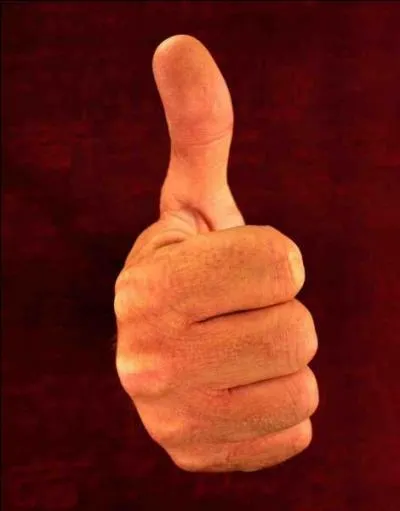 Le pouce du roi est quivalent  __ centimtres.