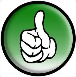 Quand est sortie le film  Pouce  de Pierre Badel ?