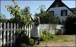 Quelle auteure amricaine a crit les sries de livres  Heartland  et  Chestnut Hill , toutes deux se droulant dans le monde des chevaux ?