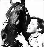 Ayant elle-mme vcu dans un ranch, quelle auteure amricaine a crit  Mon amie Flicka , qui a enchant des millions de lecteurs de par le monde ?