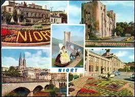 Je vous envoie une carte postale de Niort. Mais qu'est la ville de Niort pour le dpartement des Deux-Svres ?