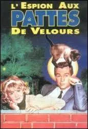 Quelle est la figure de style utilise dans ce titre de film ?