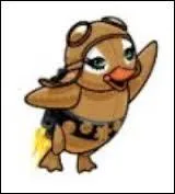 Son pingouin robot s'appelle ... ...