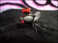 Comment s'appelle sa mouche ?