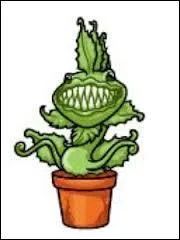 Comment s'appelle cette plante carnivore ?