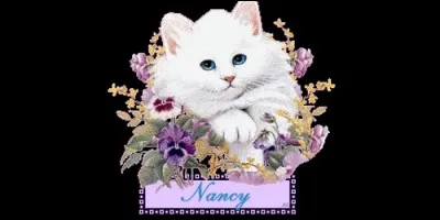 De quel prénom vient Nancy ?