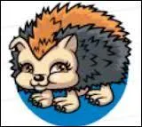 Comment s'appelle son hrisson ?