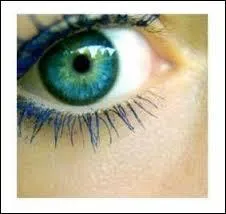 Pour un maquillage du soir les couleurs fonces ou mtalliques sauront faire ressortir la clart des yeux ... .