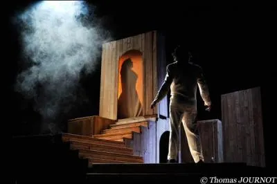 Quel est ce spectacle ?