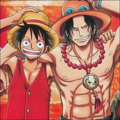Depuis qu'ils ont quitt leur le, o Luffy a-t-il revu Ace ?