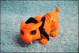 Comment s'appelle son tigre ?
